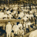 Kongo Gumi adalah perusahaan tertua asal Jepang (foto/doc)