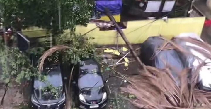 Salah satu titik pohon tumbang imbas hujan dan angin kencang (foto/Instagram)