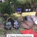 Salah satu titik pohon tumbang imbas hujan dan angin kencang (foto/Instagram)