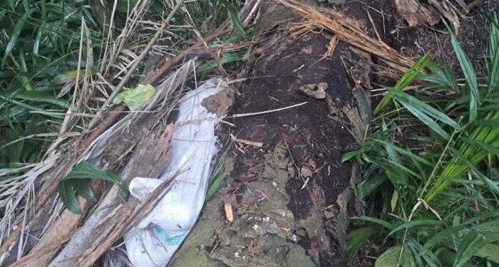 Siswi SMP di Sergai Ditemukan Tewas di Perkebunan Sawit Terbungkus Karung (foto/ist)