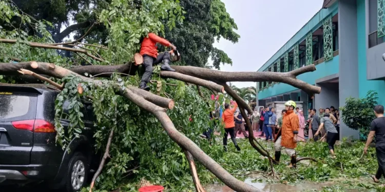 Hujan Deras Sebabkan Pohon Tumbang di SMKN 3 Bogor, 6 Mobil dan 2 Motor Rusak (foto/ist)
