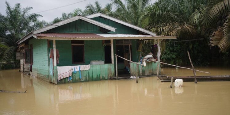 Banjir yang melanda gunung sahilan . (foto/Media Center Riau)
