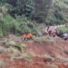 Warga bersama tim BPBD mengevakuasi jasad korban tertimbun longsor (foto/ist)