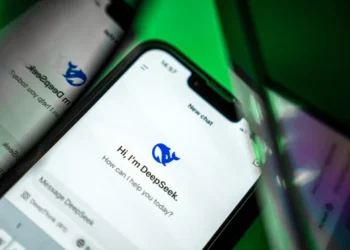 Deepseek AI Assistant. (foto/net)
