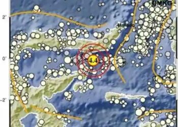 Gempa M4,4 Guncang Bolaang Uki Bolsel Siang Ini (foto/BMKG)