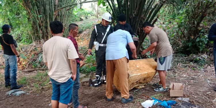 Personil Unit Intel Kodim 0203/LKT dan Sub Denpom Binjai menggerebek barak judi dan narkoba oleh di wilayah Kodim 0203/LKT, tepatnya di Dusun Kutambaru, Desa Namu Ukur Utara, Kecamatan Sei Bingei, Kabupaten Langkat, Kamis, 23 Januari 2025 sore. (foto/Supriadi)