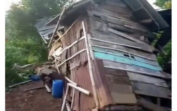 Salah satu rumah warga yang remuk akibat serangan kawanan gajah. (foto/ist)