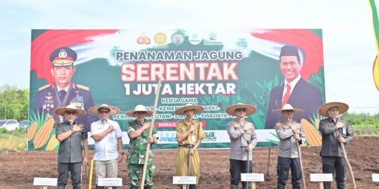 Kabupaten Bengkalis Adakan Tanam Serentak 1 Juta Hektare Dukung Program Ketahanan Pangan (foto/Prokopim Bengkalis)