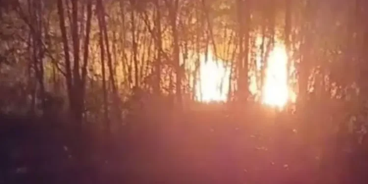 Dua sumur minyak ilegal di kawasan Taman Hutan Rakyat (Tahura) Senami, Jebak, Batanghari, Jambi (foto/ist)
