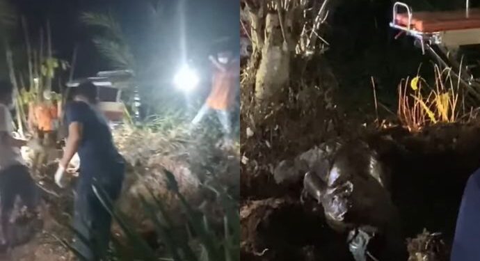 Dugaan Pembunuhan di Sumut, Jasad Wanita Cantik Ditemukan Dikubur Setengah Badan (foto/ist)
