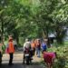 Proses Evakuasi pohon tumbang di Malang (foto/ist)