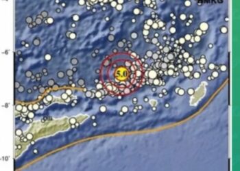 Gempa M5,0 Guncang Maluku Barat Daya (foto/BMKG)