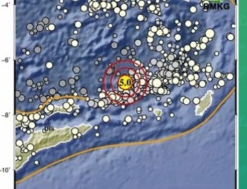 Gempa M5,0 Guncang Maluku Barat Daya (foto/BMKG)