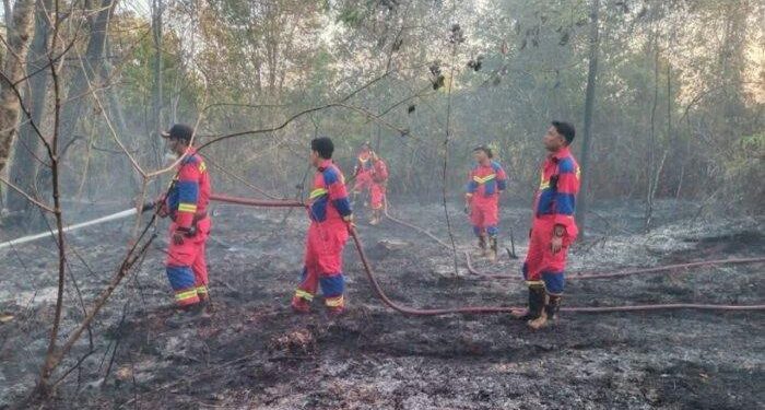 Damkar Lingga yang sedang memadamkan api di hutan karhutla (foto/ist)