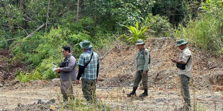 Kawasan hutan lindung yang dijual di Indragili Hulu. (foto/Media Center Riau)