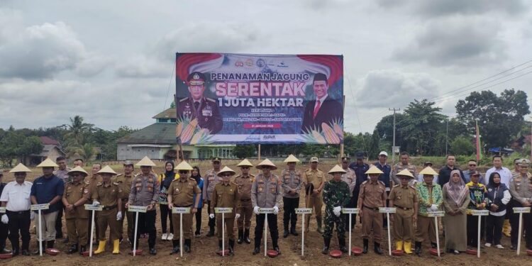 Penjabat Bupati Mesuji Febrizal Levi Sukmana Resmi Luncurkan Penanaman Jagung Serentak 1 Juta Hektare (foto/Mas Derik)