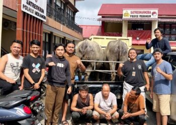 Potret pelaku pencuri hewan ternak saat digelandang aparat di Mapolres Merangin (foto/ist)