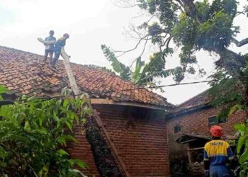 Pohon tumbang menimpa rumah di Kabupaten Tasikmalaya akibat angin kencang. (foto/ist)