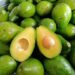 Buah Alpukat (foto/net)