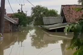 Hampir tiga pekan sudah banjir merendam Desa Karangligar, Kabupaten Karawang, Jawa Barat, akibat tingginya debit air Sungai Citarum dan Cibeet yang tak kunjung surut. (foto/ist)