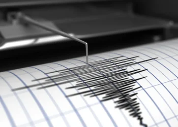 Ilustrasi Seismograf (foto/net)