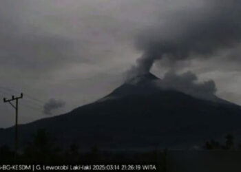 Gunung Lewotobi Laki-Laki di Kabupaten Flores Timur, Nusa Tenggara Timur (NTT), erupsi dengan tinggi kolom abu teramati kurang lebih 800 meter di atas puncak atau kurang lebih 2.384 meter di atas permukaan laut, Jumat (14/3/2025) pukul 21.24 WITA. (foto/PVMBG)