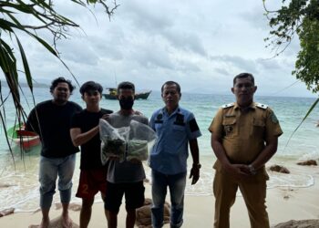 Seorang pria berinisial RW (45) dari Desa Batu Belah, Kepulauan Anambas, Kepulauan Riau, akhirnya menyerahkan diri ke Mako Polres Kepulauan Anambas setelah dua tersangka sebelumnya, FR dan ED, ditangkap pada Selasa (18/3/2025). (foto/dok)