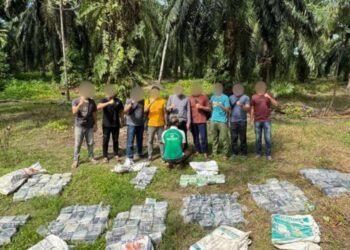 Barang bukti narkoba jenis sabu seberat 188 kilogram diamankan tim gabungan dari seorang tersangka di Aceh Tamiang. (foto/dok)