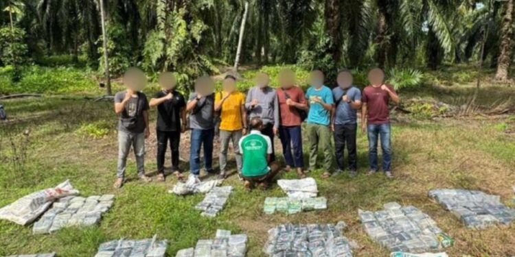 Barang bukti narkoba jenis sabu seberat 188 kilogram diamankan tim gabungan dari seorang tersangka di Aceh Tamiang. (foto/dok)