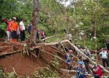 Tim Sar Gabungan Lanjutkan Pencarian Korban Longsor di Tasikmalaya. (Foto/Doc)