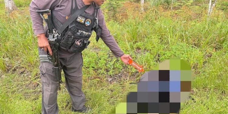 KKB Bunuh Pegawai Honorer di Yahukimo. (Foto/Doc)