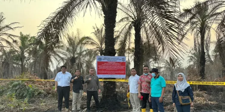 KLH Segel 4 Kebun Sawit dan 1 Pabrik Buntut Karhutla di Riau. (Foto/Doc)