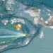 Gempa Besar Magnitudo 6,9 Guncang Maluku Tenggara. (Foto/Doc)