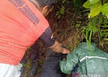 Hilang Tiga Hari, Gadis di Padang Pariaman Ditemukan Selamat di Jurang Belakang Rumah. (Foto/Antara)