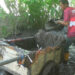 Semburan Lumpur Berwarna Hitam Mengkilat di Brebes. (Foto/Doc)