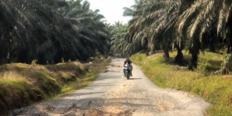 Kondisi jalan di daerah pelosok Kabupaten Langkat yang memprihatinkan. (Foto/Doc)