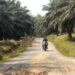 Kondisi jalan di daerah pelosok Kabupaten Langkat yang memprihatinkan. (Foto/Doc)