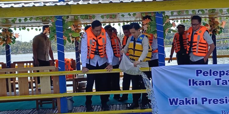 Wapres Gibran Lepas 50 Ribu Benih Ikan di Bendungan Rowo Jombor. (Foto/Doc)
