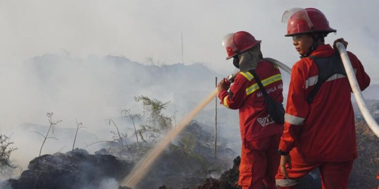 Petugas Kewalahan Padamkan Karhutla di Muarojambi. (Foto/Doc)