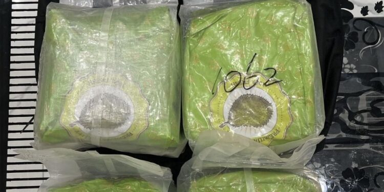 Durian Isi Sabu, Modus Baru Penyelundupan Narkoba Lintas Daerah. (Foto/Doc)