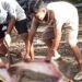 Pria di Buton Selatan Tewas Ditelan Ular Piton 8 Meter. (Foto/Doc)