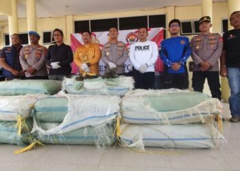 501 Kg Ganja Kering Ditemukan Polisi di Semak-semak Sungai Gayo Lues. (Foto/Doc)