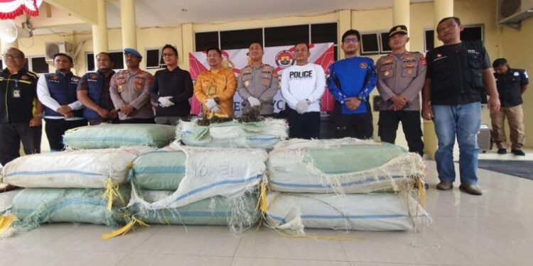 501 Kg Ganja Kering Ditemukan Polisi di Semak-semak Sungai Gayo Lues. (Foto/Doc)