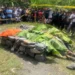 Pasutri Ditemukan Tewas di Atas Tumpukan Batu di Pemalang. (Foto/Doc)