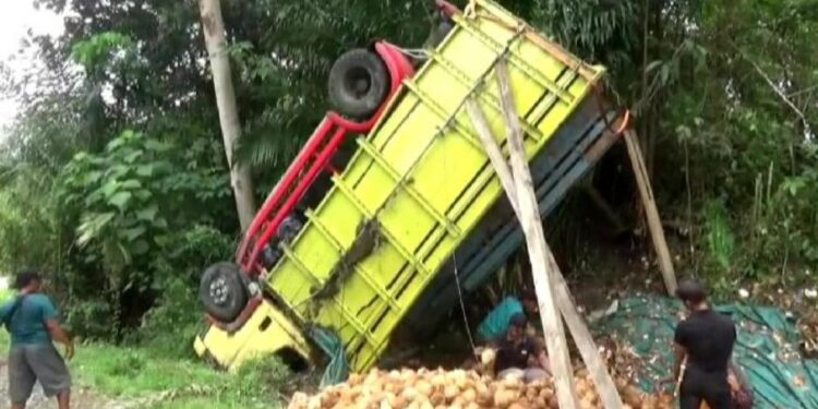 Truk Pengangkut Kelapa Terguling di Tanggamus. (Foto/Doc)