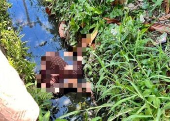 Gadis Asal Palas Ditemukan Tewas di Selokan Pasaman. (Foto/Doc)