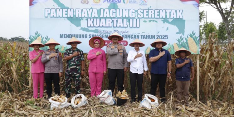 Kapolres Langkat Pimpin Panen Raya Jagung Kuartal III 2025 Secara Virtual. (Foto/JR Siahaan)