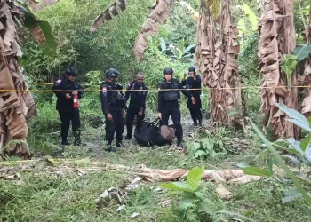Tim Jibom Sat Brimob Polda Papua mengamankan bom sisa Perang Dunia II di Sentani. (Foto/Doc)