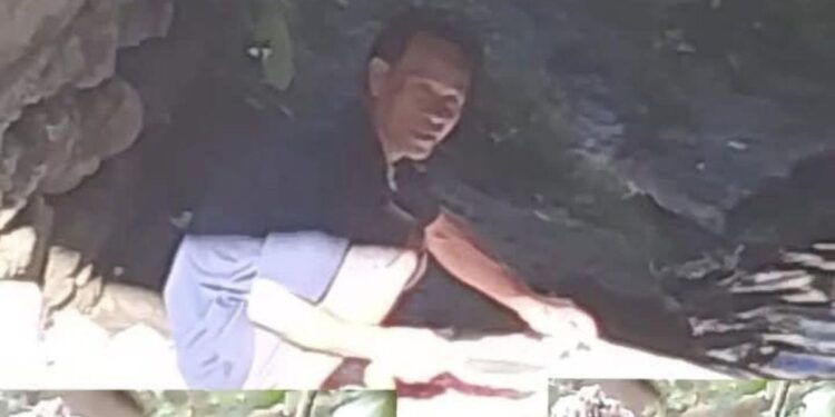 Sujady (55) nekat menyembelih lebih dari 100 ekor kucing. (Foto/Doc)