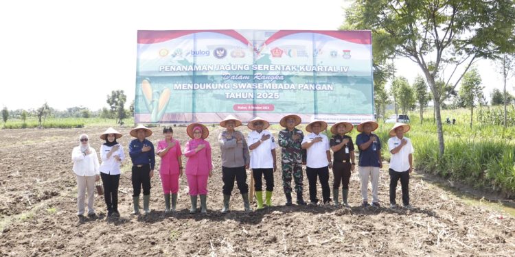 Kapolres Langkat Laksanakan Kegiatan Penanaman Jagung Kuartal IV. (Foto/JR Siahaan)
